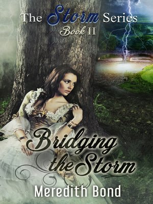 cover image of Bridging the Storm